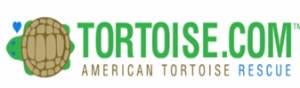 ArduinoProjectHub profile picture for @Tortoise